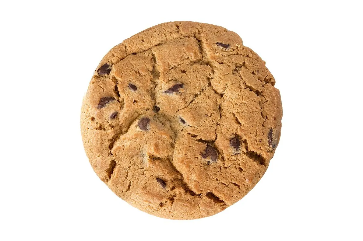 Chocolate chip cookie